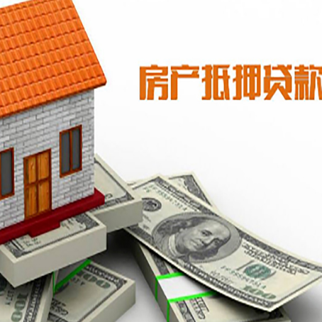来宾贷款公司新渝启服怎么选择